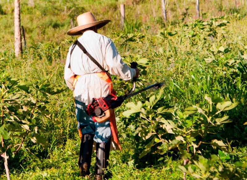APOSENTADORIA-POR-IDADE-AO-TRABALHADOR-RURAL-ELEANDRO-GUIMARAES-SAO-LOURENÇO-MG